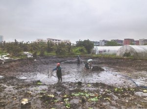 忻州河道鱼塘清淤
